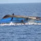 27 drown 50 missing as Congo boat capsized e1500304214452