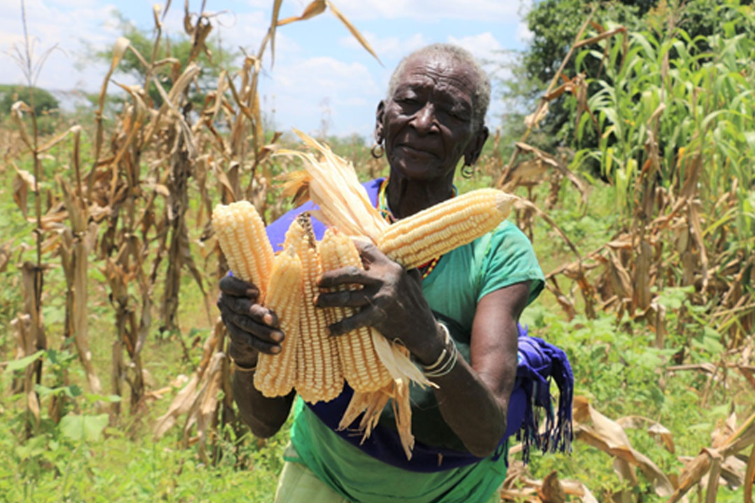 FAO and OPM empowering the Karamoja District Local Governments to manage and respond to food securit