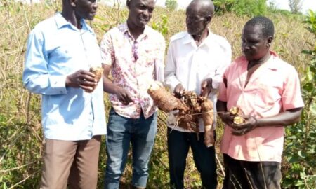 Agric Officer Opolot Mid engaging with Farmers Photo By George Emuron e1726144589620