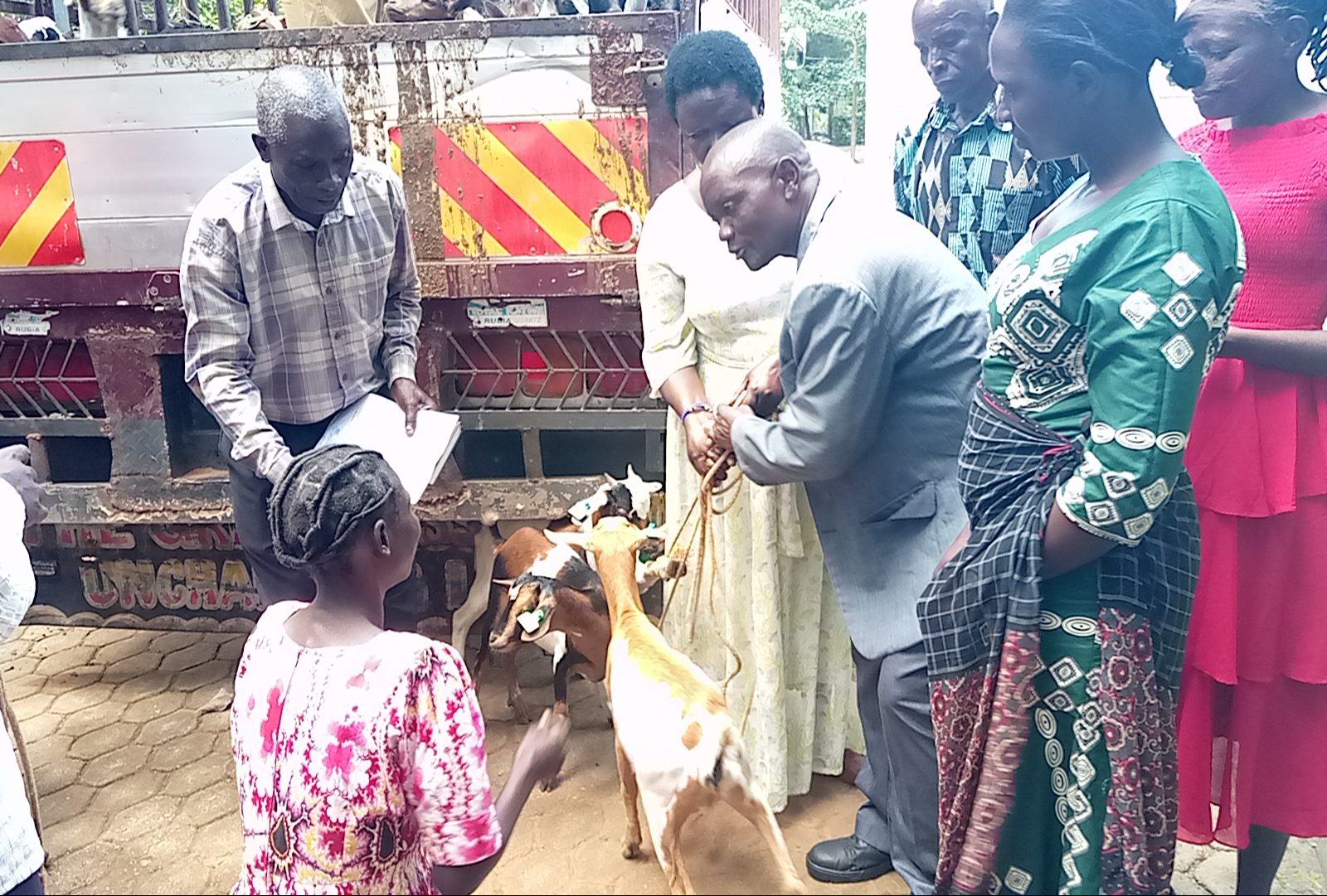 Ms Akello handing over goats to beneficiary Photo By George Emuron 1 e1726043754393