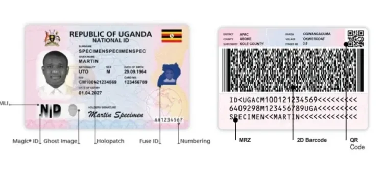How the New National IDs Look, What’s New About Them, and How to Collect Yours
