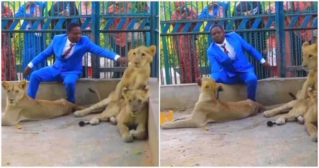 Pastor Eaten by Lions After He Invaded their Den by Faith (Photo)