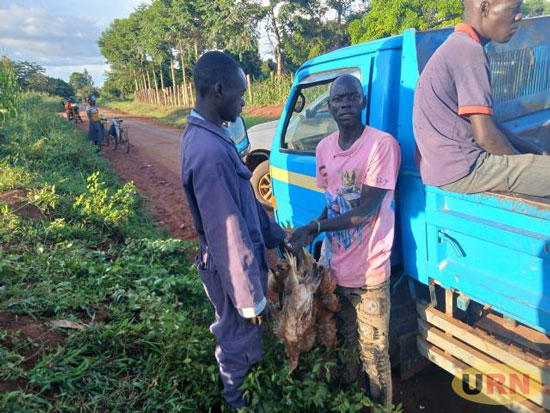 Alert:Two Men Detained After Being Caught Selling Dead Chicken